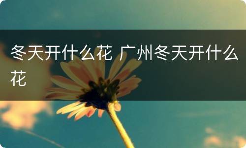 冬天开什么花 广州冬天开什么花