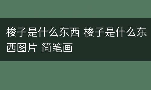梭子是什么东西 梭子是什么东西图片 简笔画