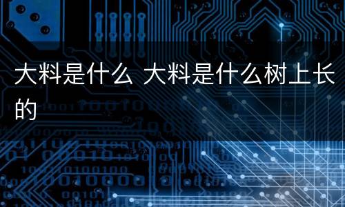 大料是什么 大料是什么树上长的
