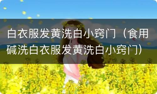白衣服发黄洗白小窍门（食用碱洗白衣服发黄洗白小窍门）