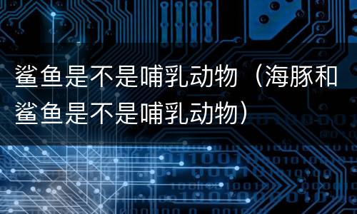 鲨鱼是不是哺乳动物（海豚和鲨鱼是不是哺乳动物）