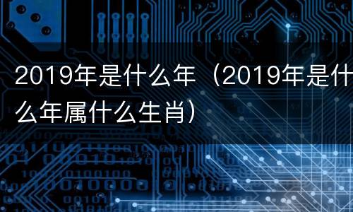 2019年是什么年（2019年是什么年属什么生肖）