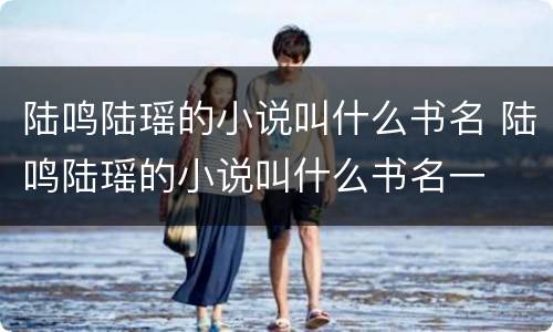 陆鸣陆瑶的小说叫什么书名 陆鸣陆瑶的小说叫什么书名一