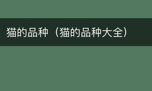 猫的品种（猫的品种大全）