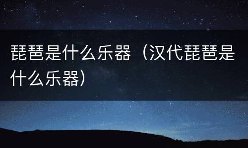 琵琶是什么乐器（汉代琵琶是什么乐器）