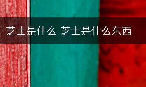 芝士是什么 芝士是什么东西