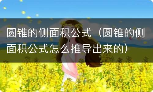 圆锥的侧面积公式（圆锥的侧面积公式怎么推导出来的）