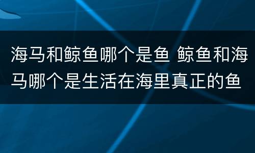 海马和鲸鱼哪个是鱼 鲸鱼和海马哪个是生活在海里真正的鱼