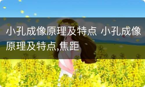 小孔成像原理及特点 小孔成像原理及特点,焦距