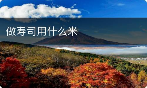 做寿司用什么米