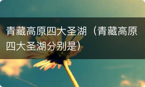 青藏高原四大圣湖（青藏高原四大圣湖分别是）