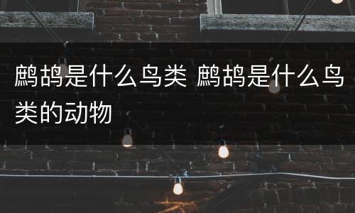 鹧鸪是什么鸟类 鹧鸪是什么鸟类的动物