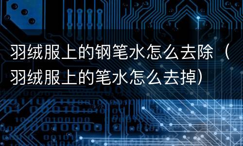 羽绒服上的钢笔水怎么去除（羽绒服上的笔水怎么去掉）
