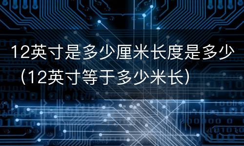 12英寸是多少厘米长度是多少（12英寸等于多少米长）