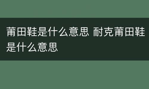 莆田鞋是什么意思 耐克莆田鞋是什么意思