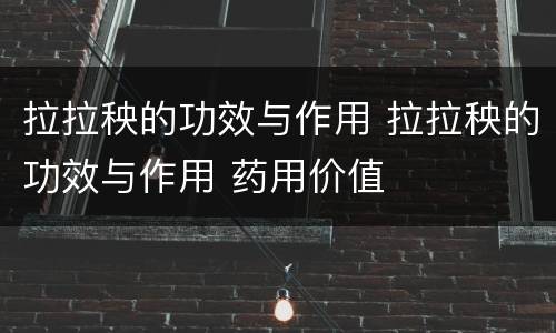 拉拉秧的功效与作用 拉拉秧的功效与作用 药用价值