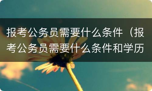 报考公务员需要什么条件（报考公务员需要什么条件和学历）