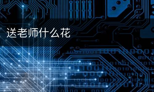 送老师什么花