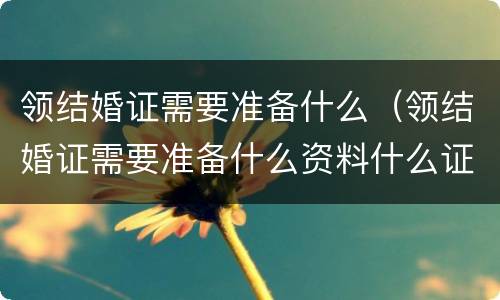 领结婚证需要准备什么（领结婚证需要准备什么资料什么证件2022）