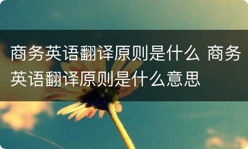 商务英语翻译原则是什么 商务英语翻译原则是什么意思