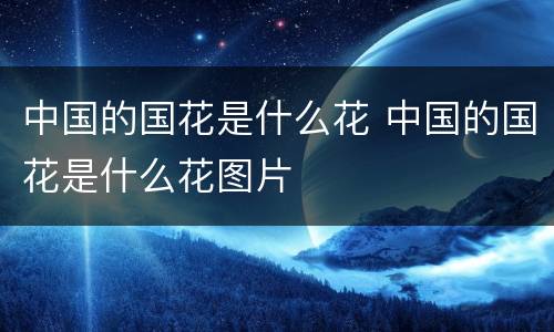 中国的国花是什么花 中国的国花是什么花图片