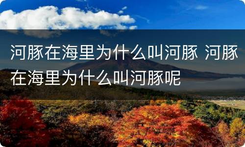 河豚在海里为什么叫河豚 河豚在海里为什么叫河豚呢
