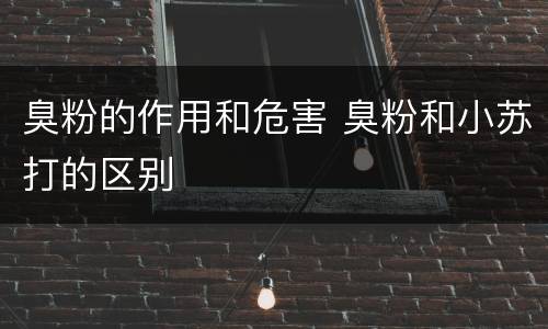 臭粉的作用和危害 臭粉和小苏打的区别