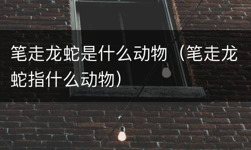 笔走龙蛇是什么动物（笔走龙蛇指什么动物）