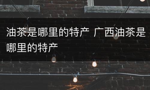 油茶是哪里的特产 广西油茶是哪里的特产