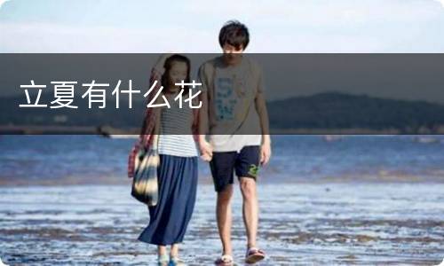 立夏有什么花