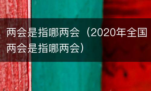 两会是指哪两会（2020年全国两会是指哪两会）