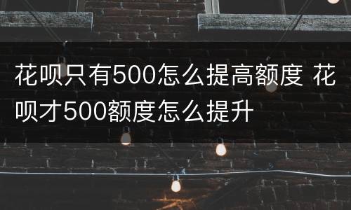 花呗只有500怎么提高额度 花呗才500额度怎么提升