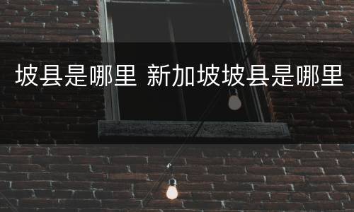 坡县是哪里 新加坡坡县是哪里