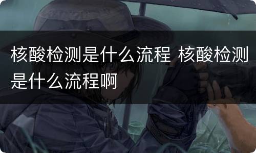 核酸检测是什么流程 核酸检测是什么流程啊