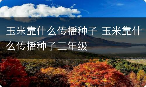玉米靠什么传播种子 玉米靠什么传播种子二年级