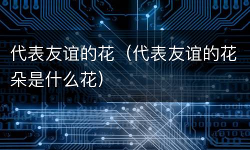 代表友谊的花（代表友谊的花朵是什么花）