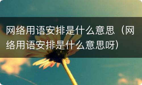 网络用语安排是什么意思（网络用语安排是什么意思呀）