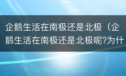企鹅生活在南极还是北极（企鹅生活在南极还是北极呢?为什么?）