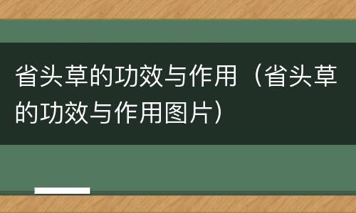 省头草的功效与作用（省头草的功效与作用图片）