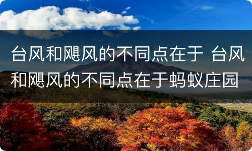 台风和飓风的不同点在于 台风和飓风的不同点在于蚂蚁庄园