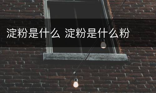 淀粉是什么 淀粉是什么粉