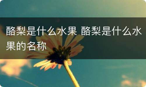 酪梨是什么水果 酪梨是什么水果的名称