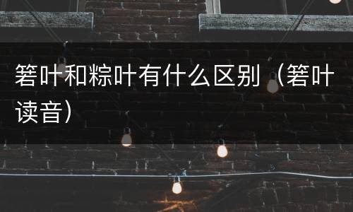 箬叶和粽叶有什么区别（箬叶读音）