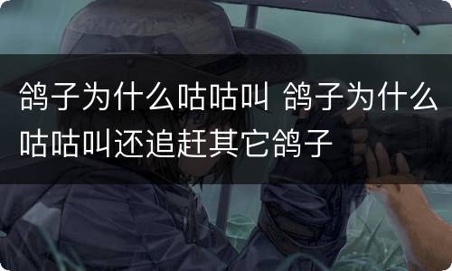 鸽子为什么咕咕叫 鸽子为什么咕咕叫还追赶其它鸽子