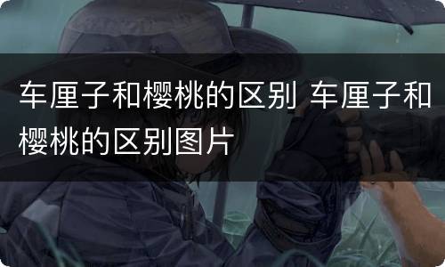 车厘子和樱桃的区别 车厘子和樱桃的区别图片