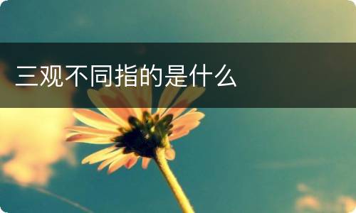 三观不同指的是什么