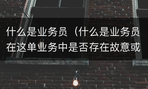 什么是业务员（什么是业务员在这单业务中是否存在故意或者重大过失）
