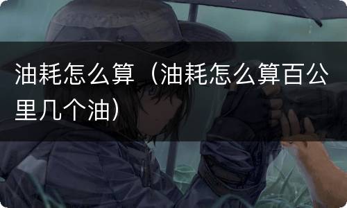 油耗怎么算（油耗怎么算百公里几个油）