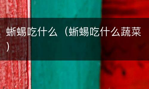 蜥蜴吃什么（蜥蜴吃什么蔬菜）