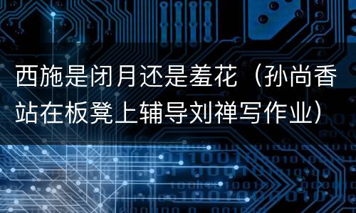 西施是闭月还是羞花（孙尚香站在板凳上辅导刘禅写作业）